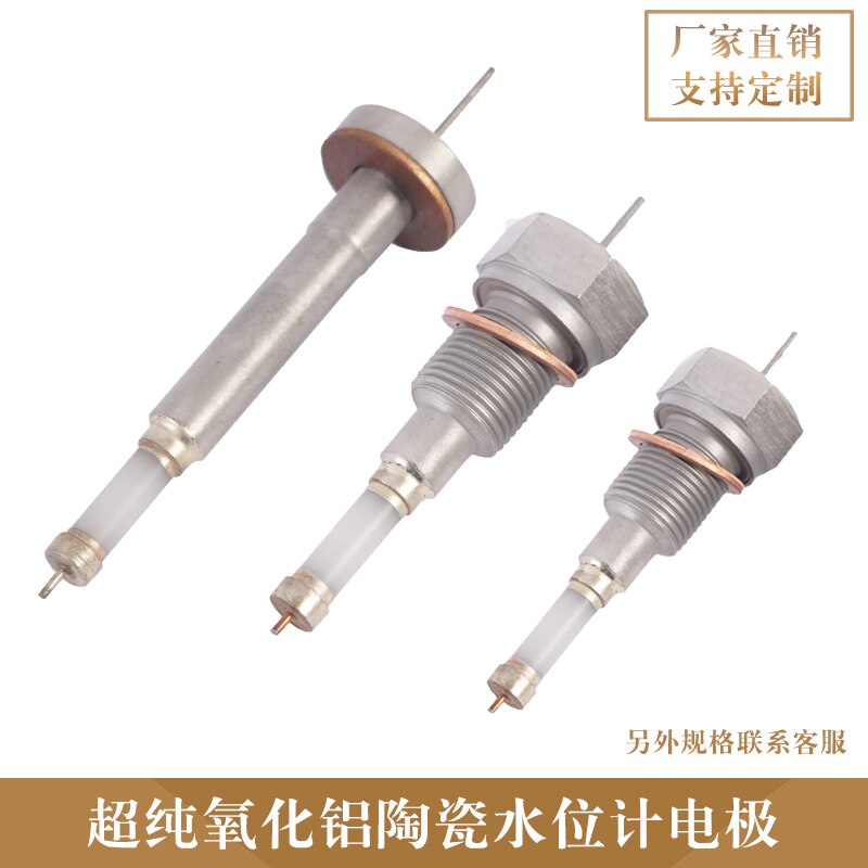 Ultra-pure Alumina Water Level Electrode Boiler Electric Contact Water Level Gauge Electrode Press-in External Thread Type