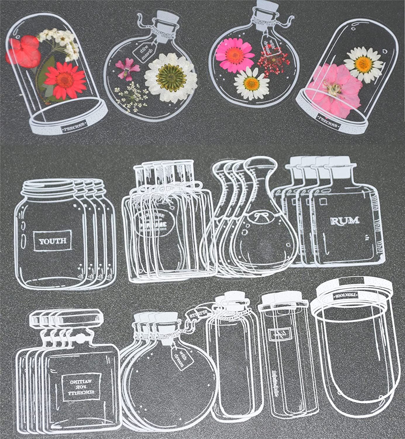 Marcapáginas de flores prensadas con patrón de botella de deseos, marcapáginas de flores secas transparentes, marcapáginas de página de flores