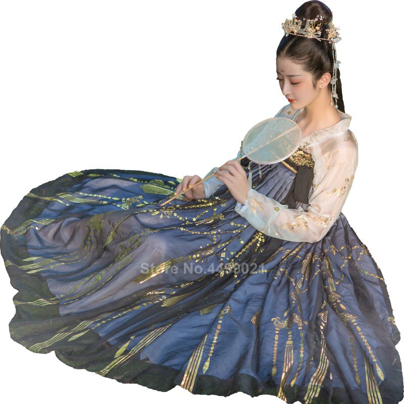 Women Chinese Style Traditional Folk Dance Costume Oriental Han Dynasty Fairy Performance Hanfu Crane Singer Printed Skirt Set