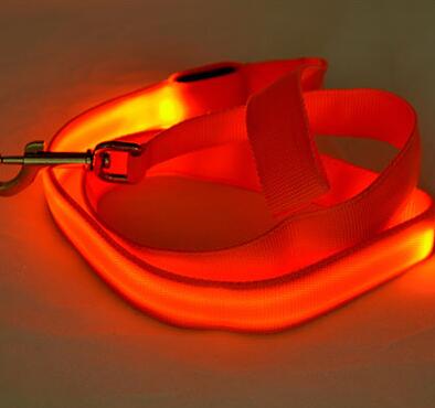 Laisse en Nylon pour chien, sécurité nocturne, LED clignotante dans la nuit, collier pour animaux de compagnie, dessin pour chat, petit gabarit: orange / Width 25mm