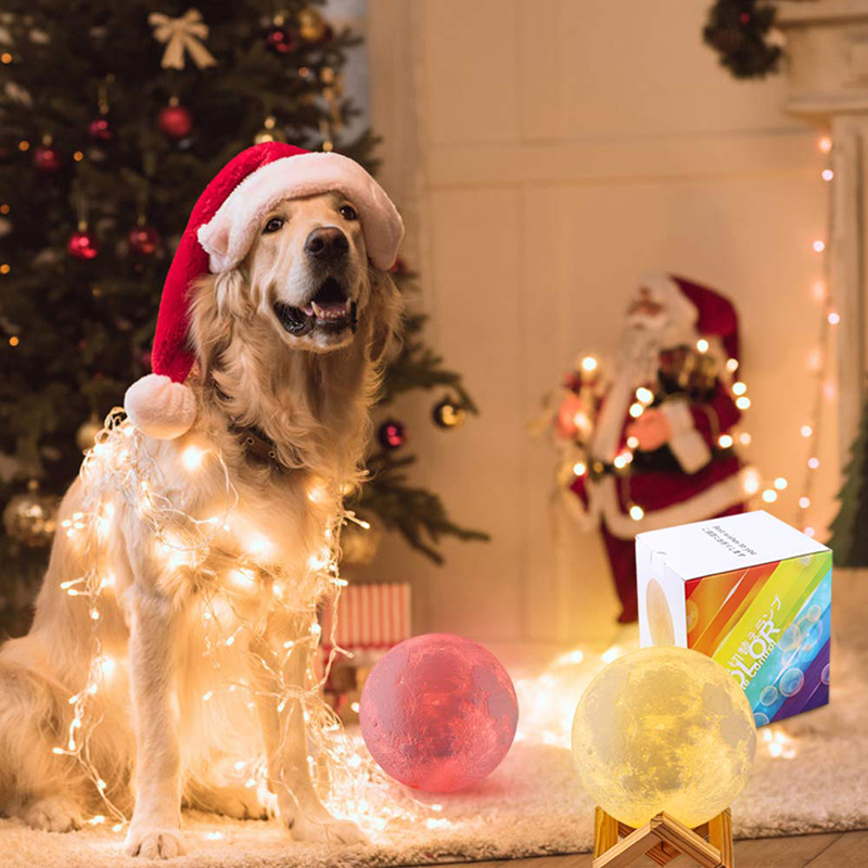 Luz LED nocturna T20, lámpara de Luna con estampado 3D, recargable, cambio de Color, luz 3D táctil, lámpara de Luna, luces para niños, lámpara de noche para el hogar