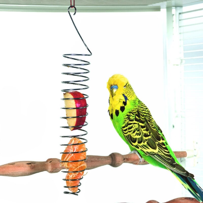 Parrot Food Fruits Basket Millet Stainless Steel Feeding Device Bird Cage Feeder