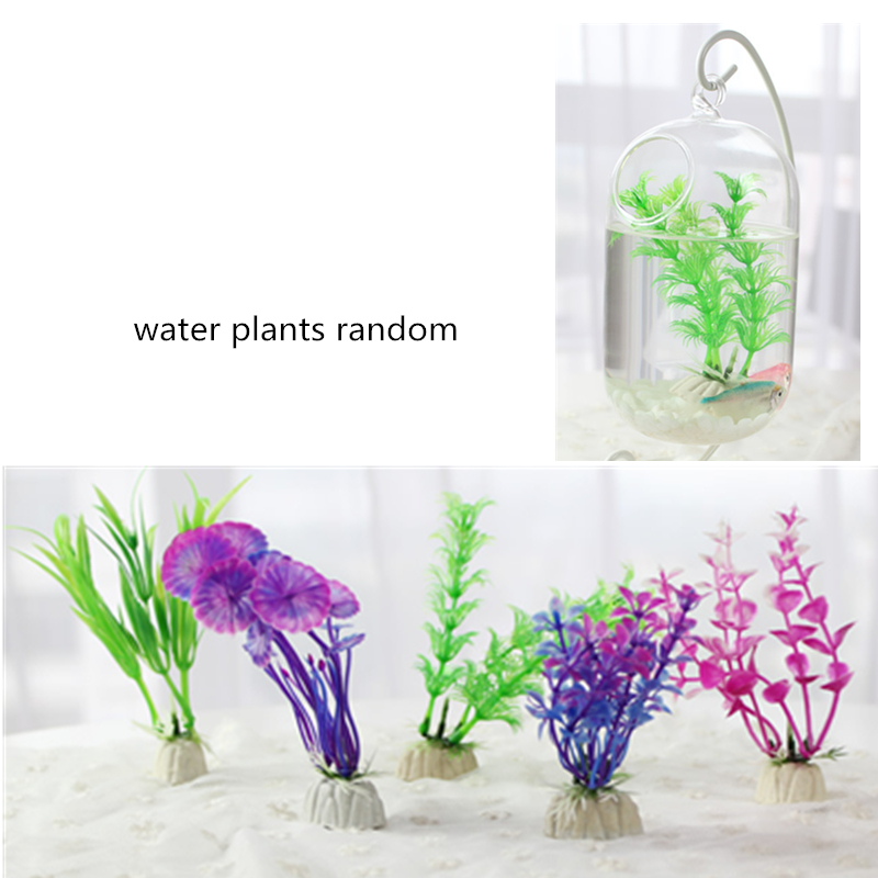 Hanging Mini Fish Tank Black Rack Glass Goldfish Tank Aquarium Household Bucket Fish Tank With Sand Conch Shell Plants