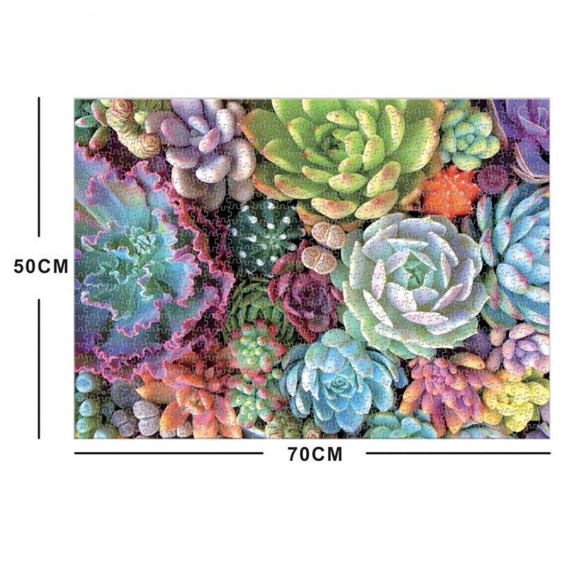 1000 Piece Rainbow Flowers Succulent Plants Jigsaw Puzzles Assembling Picture For Adults Kids Learning Education Puzzle Toy