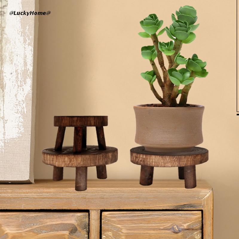 Stormshopping 6 Pcs Plant Level, Sturdy Plant Stand, 30 cm, Black Round Plant Holder, Plastic Plant Risers for Indoor, Outdoor, Garden, Patio, Floor Protector