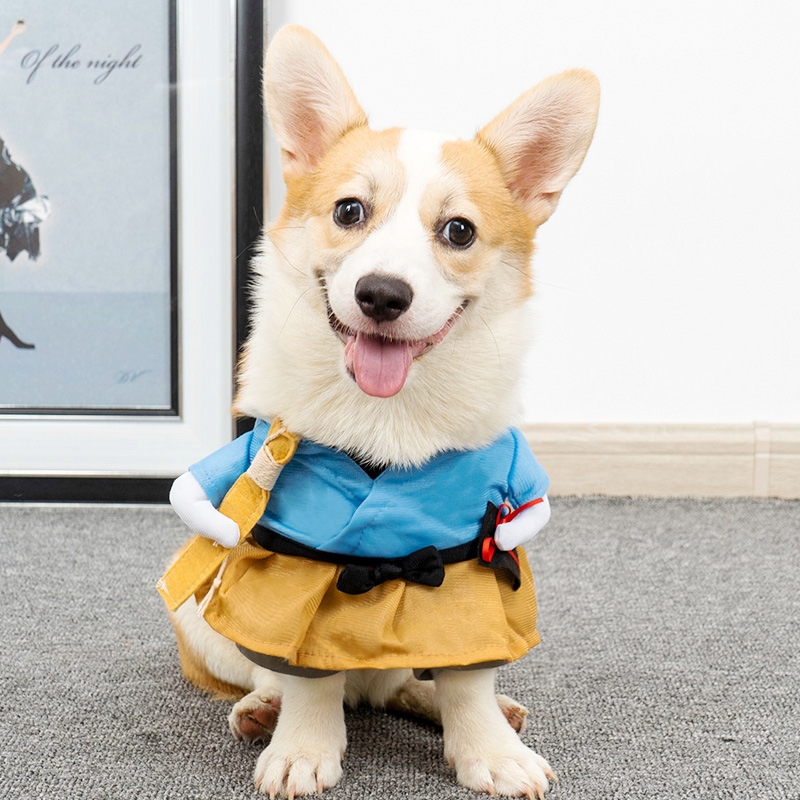 Roupas para cães, fantasia engraçada, halloween, filhote de cachorro, moletom, terno, cosplay, roupas de festa, gato, cachorro, conjuntos, vestido para animais de estimação, roupas para cães