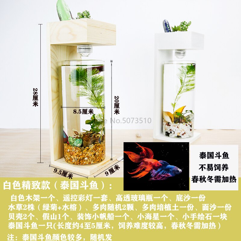 Desktop Fish Tank Home Desk Ecological Microscopic Fleshy Thai Aquarium Plastic: Clear