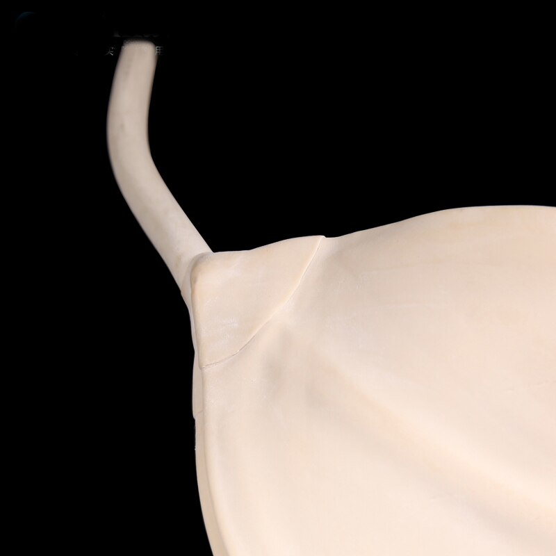 #5#7 Gas sampling bag Rubber Laner Tubes Gas Sampling Bladder