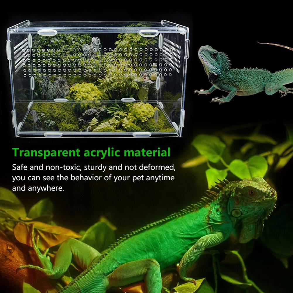 Caixa ornamental de terrário camaleão, para répteis, lagarto, centípede, aranha, caixa transparente, suprimentos para animais de estimação