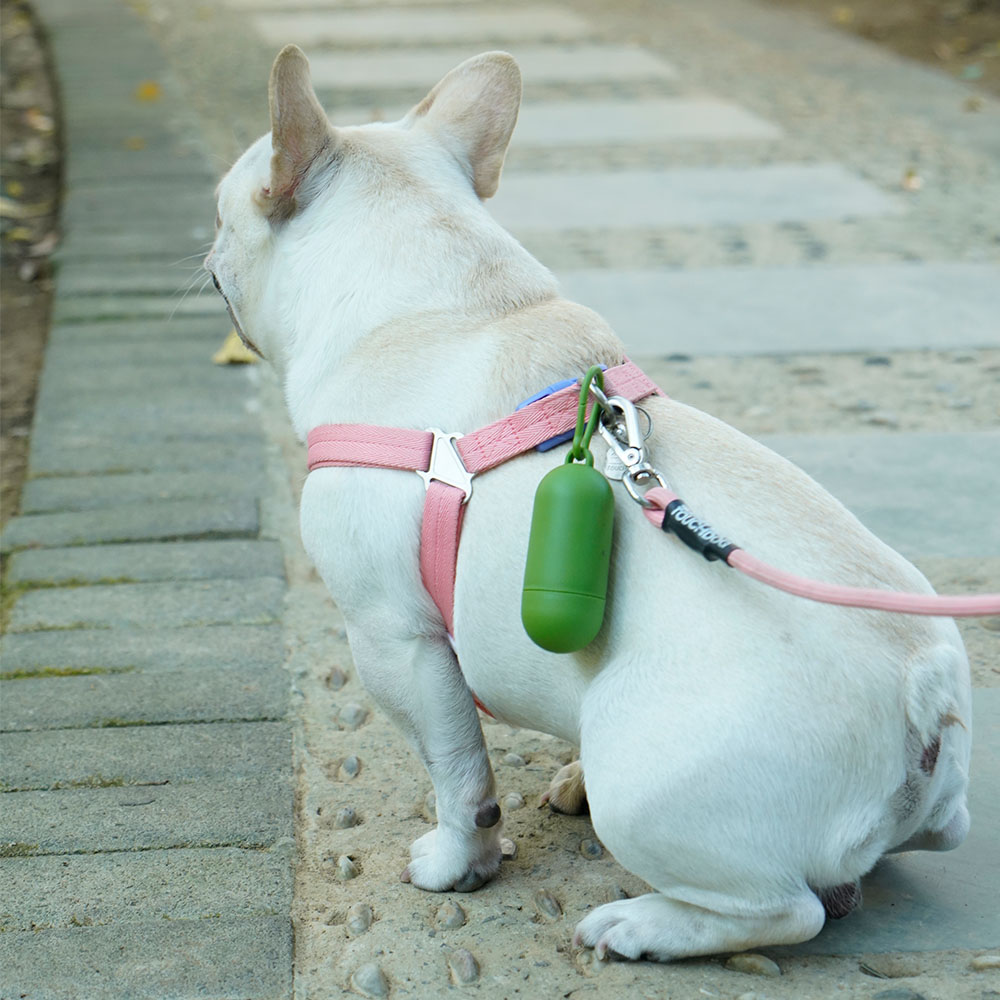 Sacos de cocô para cães e gatos, sacos descartáveis para resíduos de cães, dispensador de sacos biodegradáveis para casa ao ar livre, recarga limpa, saco de lixo