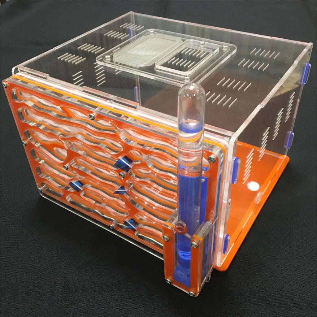 Villa 20*13*18.2 cm grote DIY vocht met voeden gebied ant nest, ant farm acryl, insect mierennesten villa huisdier mania voor huis mieren: orange