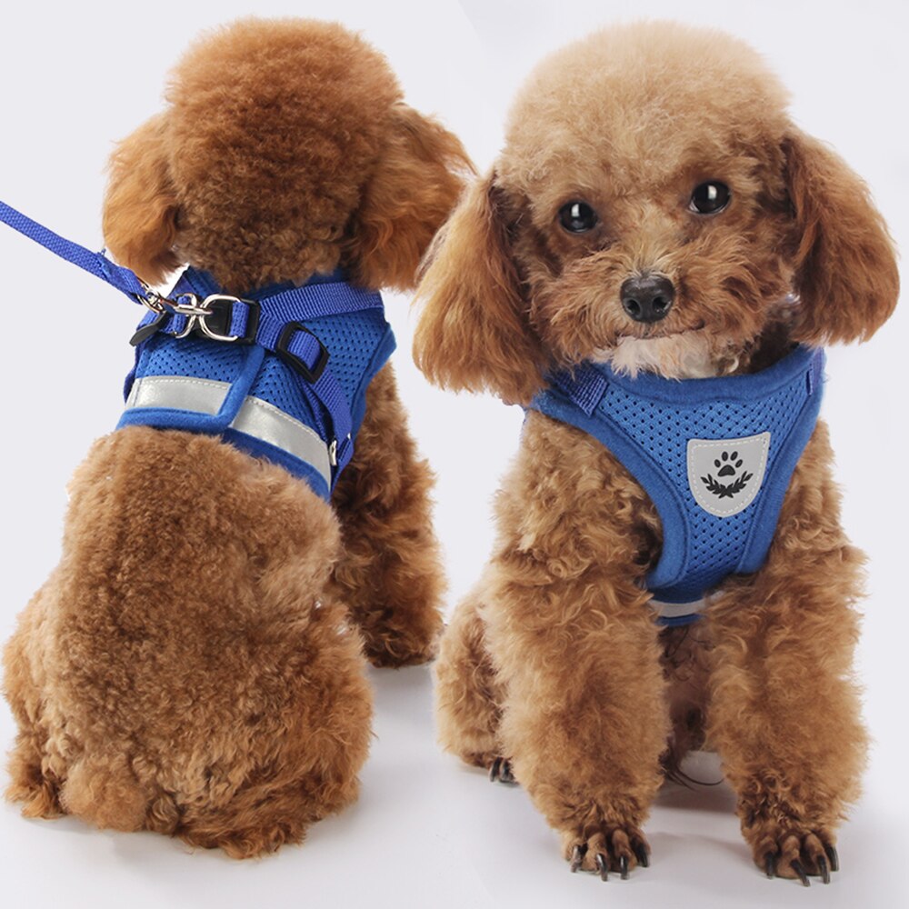 Aankomst Huisdier Zacht Ademend Air Nylon Mesh Puppy Hond Pet Cat Harness en Leash Set Basic Halter Harnassen