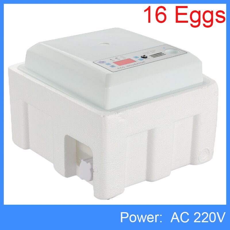 160 oeufs incubateur couveuse oiseau caille incubateur 220V 110V poussin écloserie volaille éclosoir tourneur automatique ferme incubateur outils: AC 220V