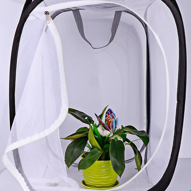 Jaula para criar insectos, jaula para mariposas, cercado