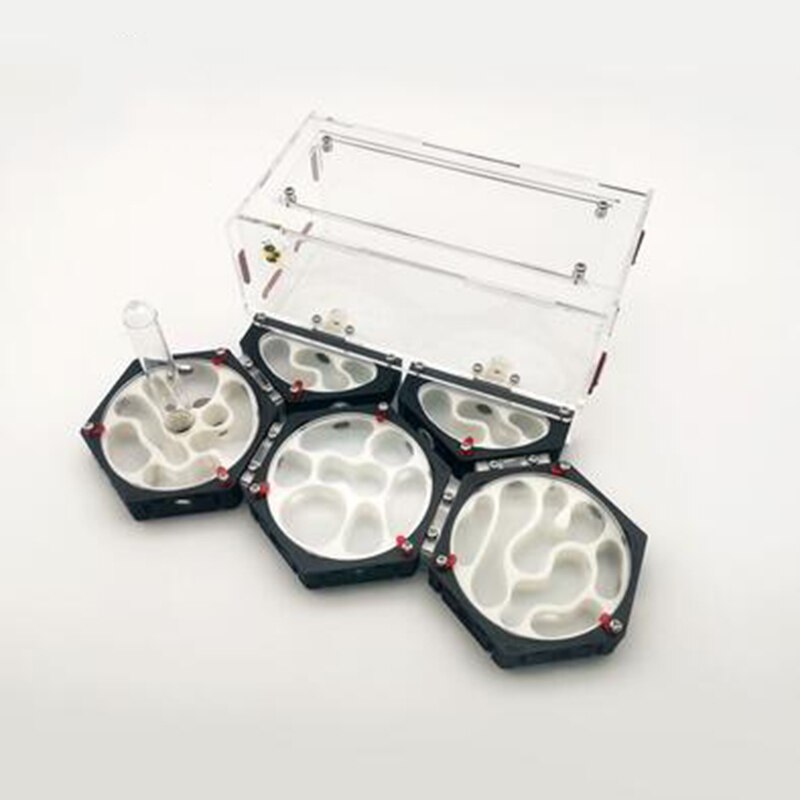 Ant Space Station 3D Ant Nest Queen Nest Acrylic Ant Nest Idea Reptile Terrarium Ants Farm House: Style-L