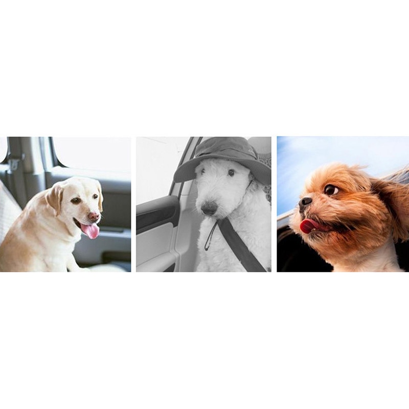 Anti-Shock Dog Seat Belt Autogordel Reflecterende Elastische Hondenriem Voertuig Auto Huisdier Veiligheid Harnas Lood clip Honden Benodigdheden