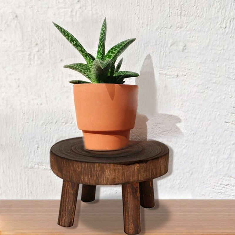 Trä växt kruka hållare stativ blomma display hylla inomhus utomhus trädgård uteplats blomkruka bas hållare pall orkidé bänk