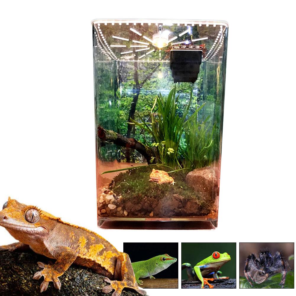 21.5Cm * 17.5Cm * 29.5Cm Reptile Kweekbak Voeden Dozen Helder Acryl Reptiel Terrarium Voerbox Voor gekko 'S Spiders: Default Title