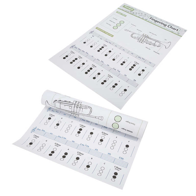 Trumpet Chord Chart Trumpets Note Guide Clear for Home