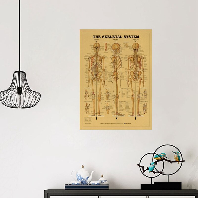 Póster del esqueleto del cuerpo para decoración del hogar, cuadro adhesivo para pared, estructura del sistema nervioso, Retro, papel Kraft