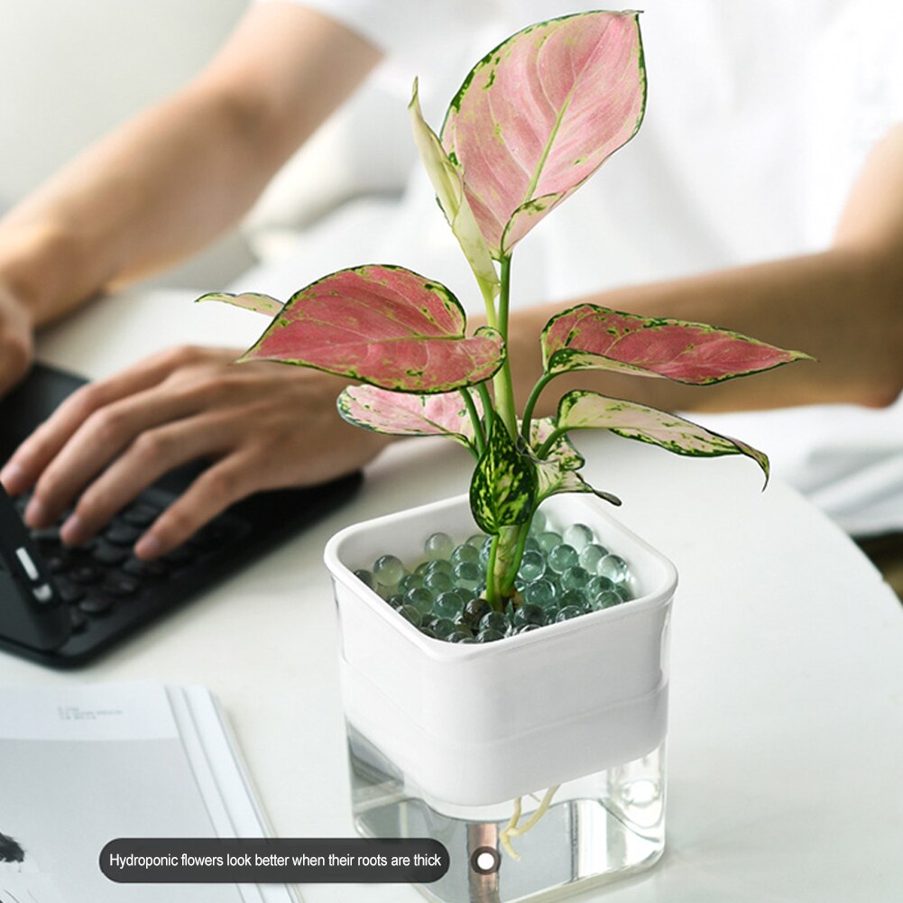 Household Flower Pot Transparent Automatic Watering Device Home Office Plastic Automatic Water Absorption Bonsai