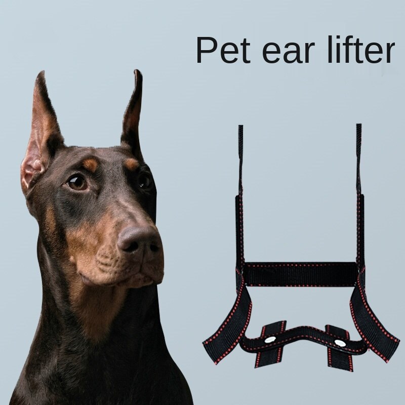 Hund øre stativ ørekorrektion fiksering værktøj doberman schæferhund lodret øre dedikeret hundetilbehør