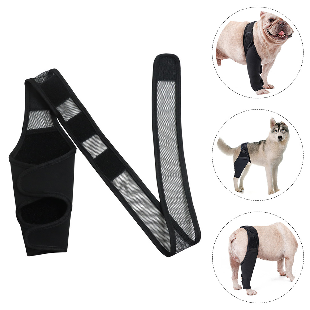Haustier-Beinstütze für kleine Hunde, Schwarz, Größe S, Neopren, Kniestütze, Vorderbeinschutz, verletzte Welpen, Hundebandagen, Wundenzubehör