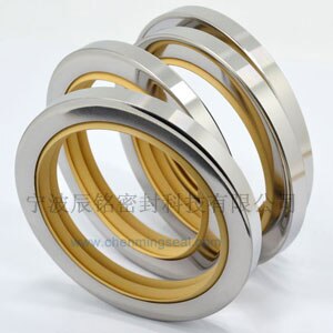 20*40*10 mm Separate Media Lip PTFE Oil Seals Rotary Shaft Seals With Dual Lip Stainless Steel Housing For Compressors Mixers