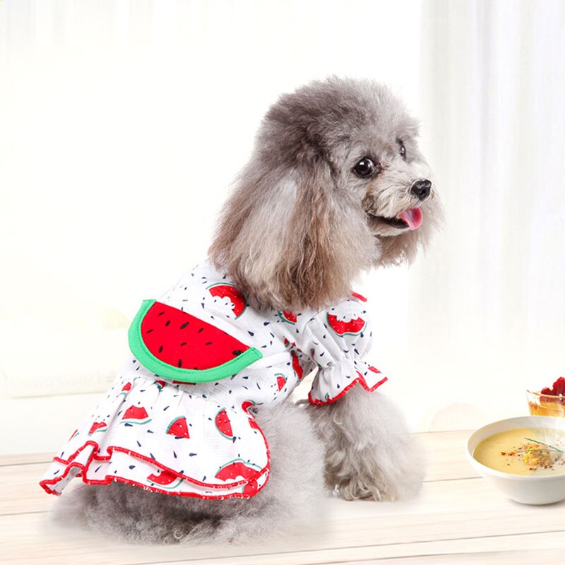 Sød frugt trykt sommer hundetøj kæledyr kjoler sød kat kjole til små mellemstore hunde med frugt mønster taske chihuahua nederdel