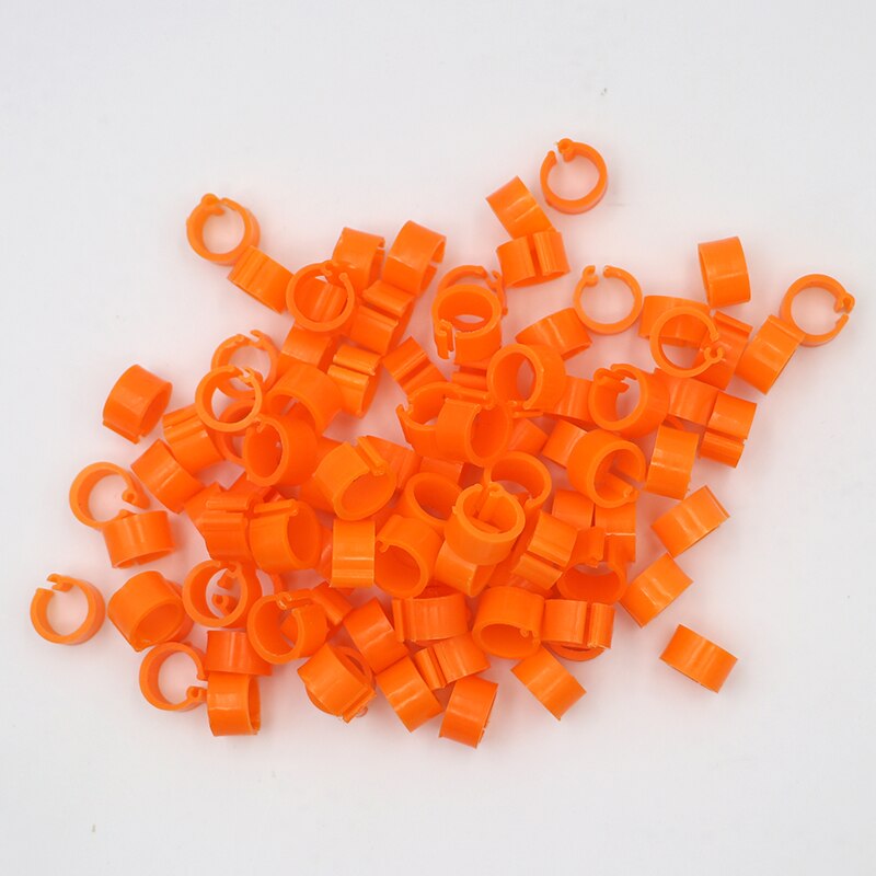 Anillos de plástico para pies de palomas y codorniz, suministros para aves pequeñas, 10 colores, piezas, 100: Gris