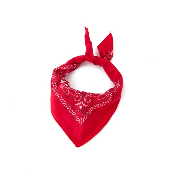 Accessorio Cosplay per bambini ~ cappello da Cowboy Knight cappello a tesa larga 3383: Triangular towel / L