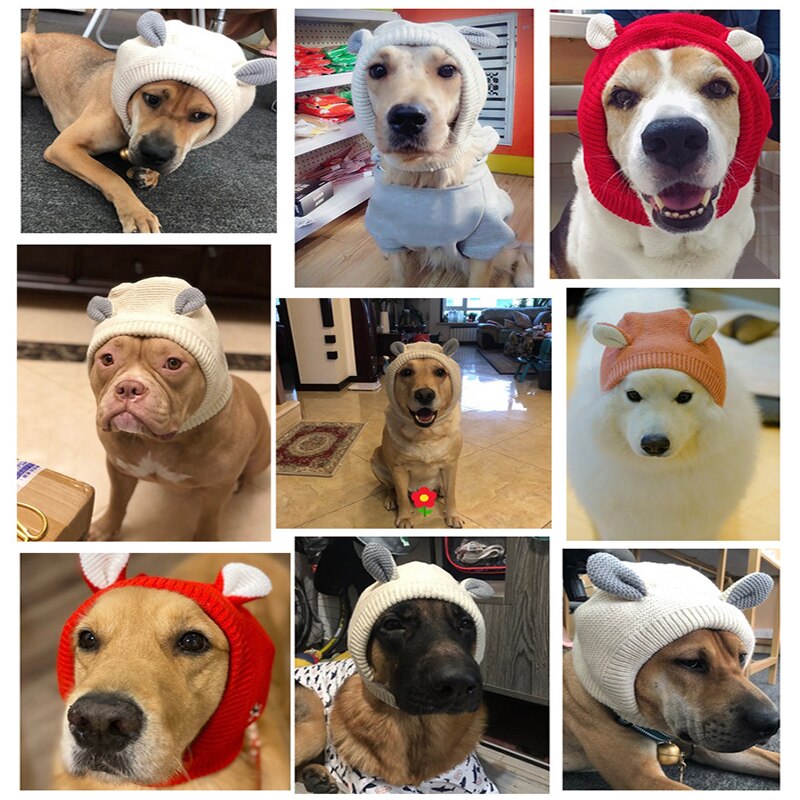 Mascota perro gato gorros abrigados de invierno sombrero para mascotas lindo gorros para perros divertido disfraz Cosplay Chihuahua mascota Cap accesorios de Navidad