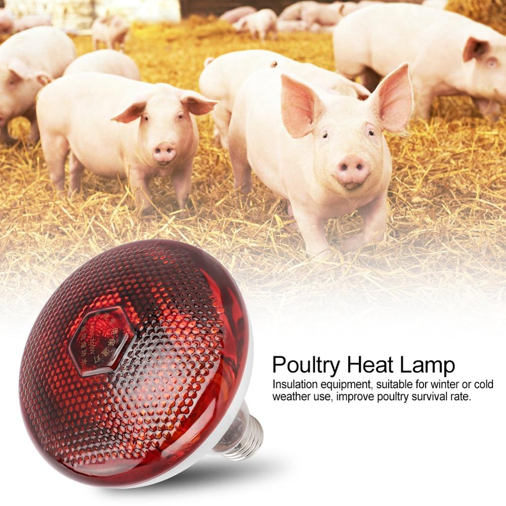 Pet Brooder Supplies E27 Preservation Heat Lamp Bulb Infrared Ray Light Bulb for Pig Chicken Animal Poultry 240V