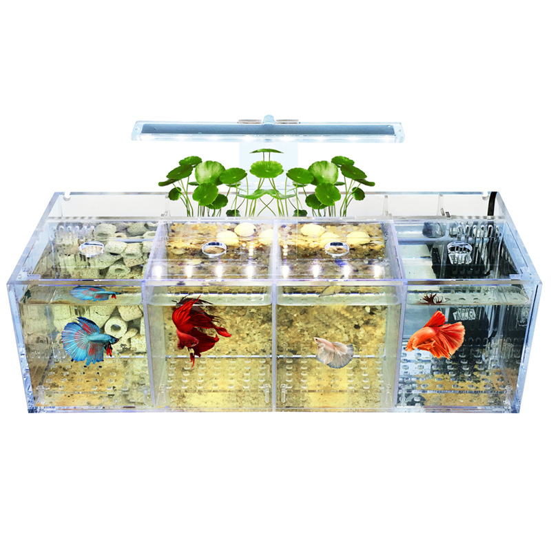 Acryl Isolatie Aquarium Met Meerdere Compartimenten Gestapeld En Transparante Kweekdoos Goudvissen Vechten Viskijktank