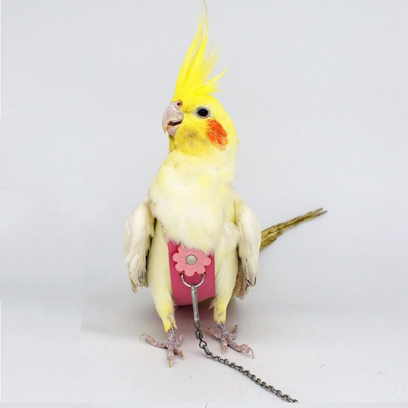Aaak - fugl papegøje fløjl læder ble med snor sele reb cockatiel duer flydragt tøj afføring lomme
