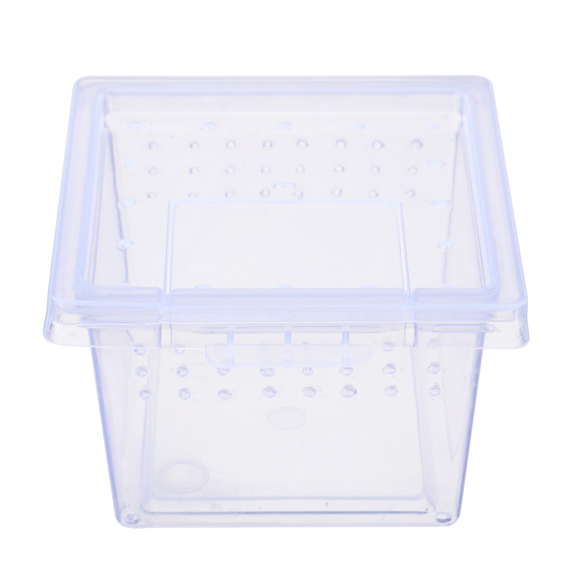 6.8*4.5*5.5cm Transparent Spider Feed Living Box Plastic Insect Box Reptile Cultivate Container Scorpion Terrarium Habitat