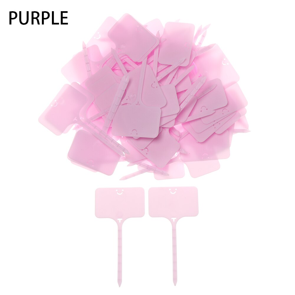 100pcs T Shape Garden Labels Gardening Plant Classification Markers Sorting Seedling Tags Greenhouse Nursery Pots Writing Plate: Purple