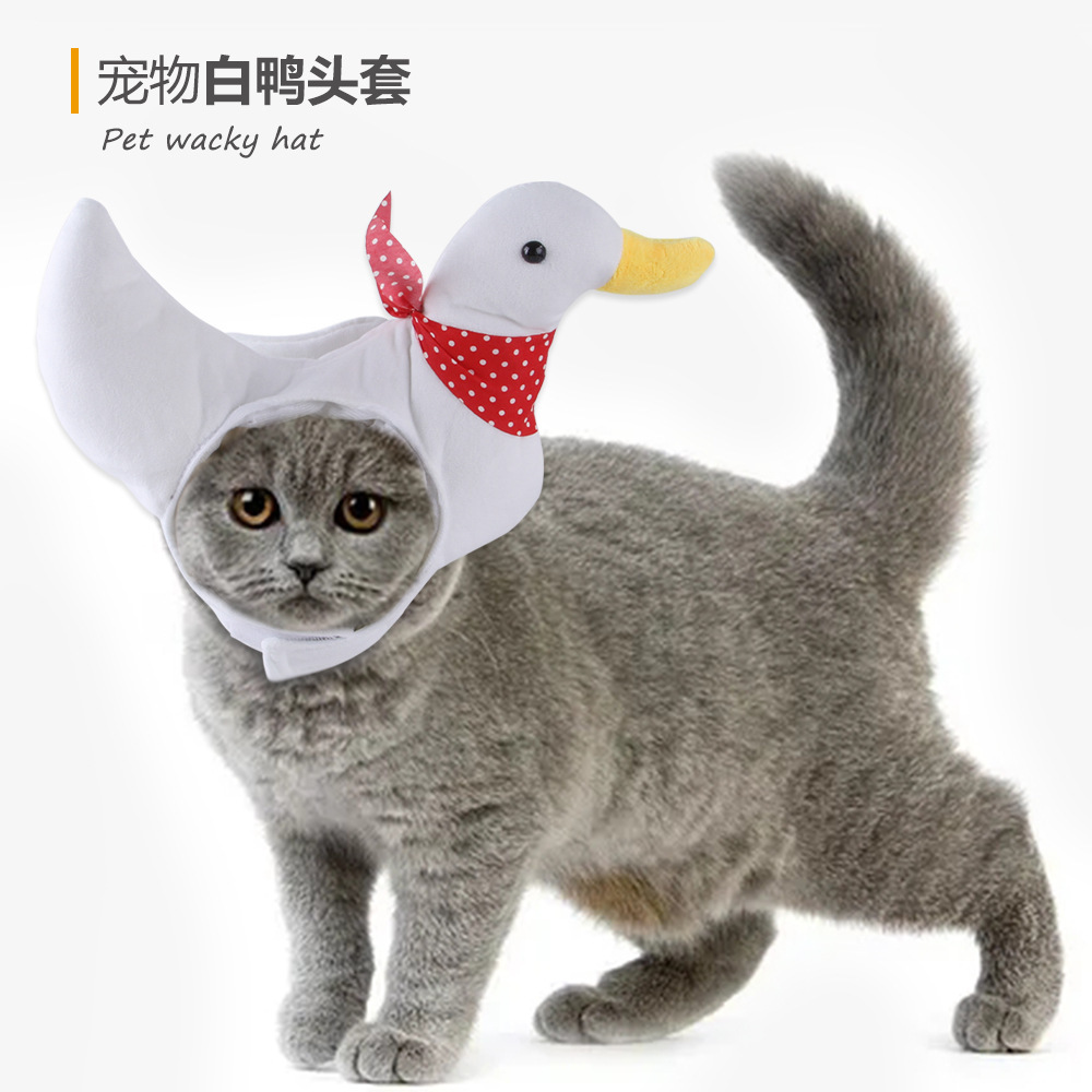 Gorro de gato refinado bonito, gorro elástico de felpa para invierno para mascotas, gorro tejido para cachorros y gatitos, accesorios de decoración para y Cosplay, accesorios para gatos para mascotas: marrón