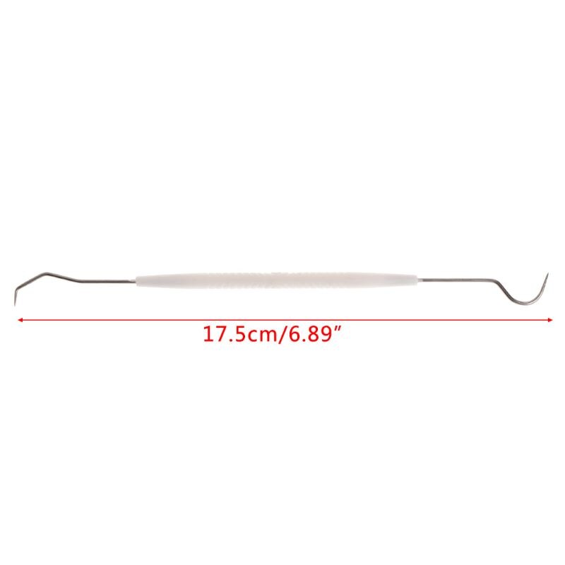 Crochet de nettoyage équipement fourmi | Crochet de nettoyage, outils à Double tête, Tube à essai, nid en acier inoxydable, fournitures pour le nettoyage des insectes