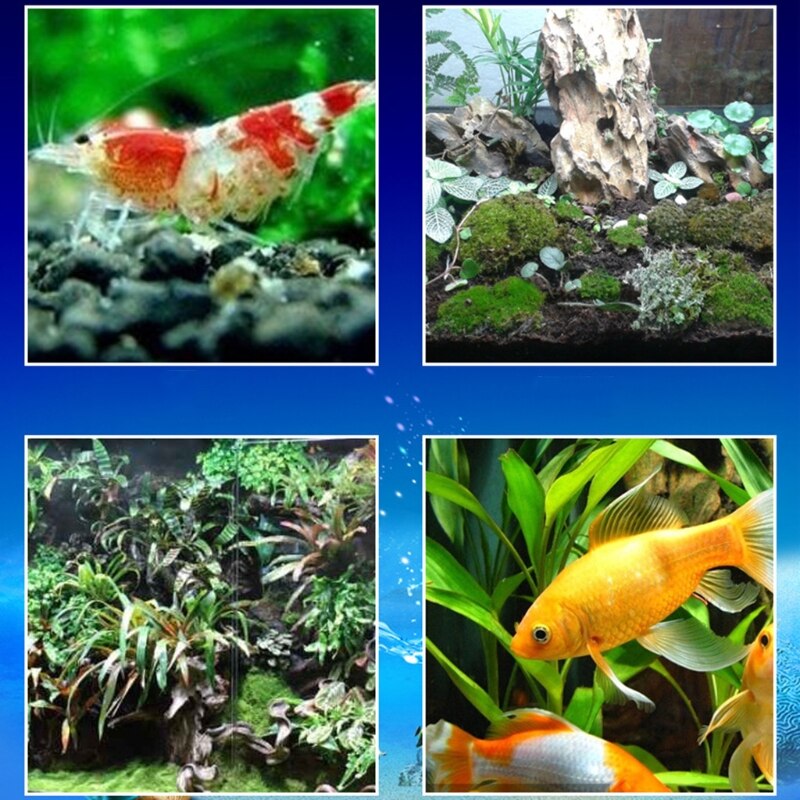 Aquarium Isolatie Board Aquarium Bodem Filter Plaat Rooster Plastic Separator