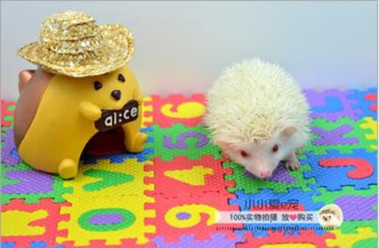 Tegneserie puslespill gulv terrarium dekorasjon hamster gulvmatte lite kjæledyr aktivitet teppe