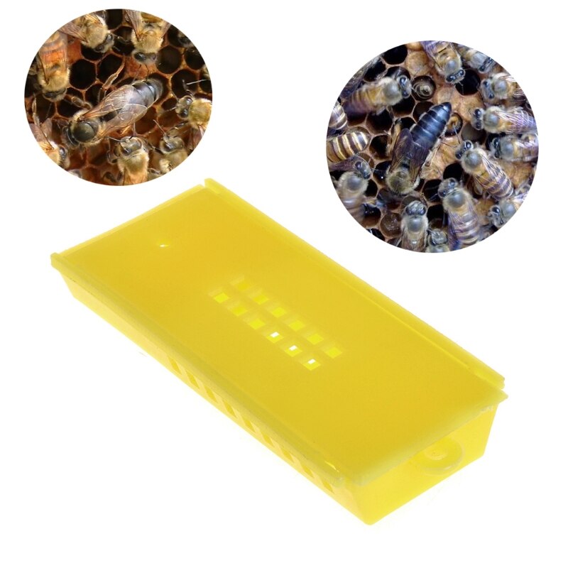 5Pcs Bee Boxs Honing Bijenteelt Plastic Bijenkorf Kooi Catching Tool Bewegende Apparatuur