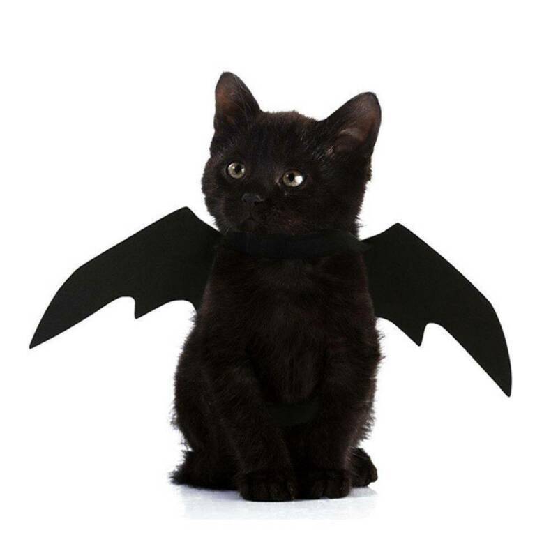 Halloween Haustier Schläger Flügel katze kostüm Haustiere kostüm tragen Halloween-Schild