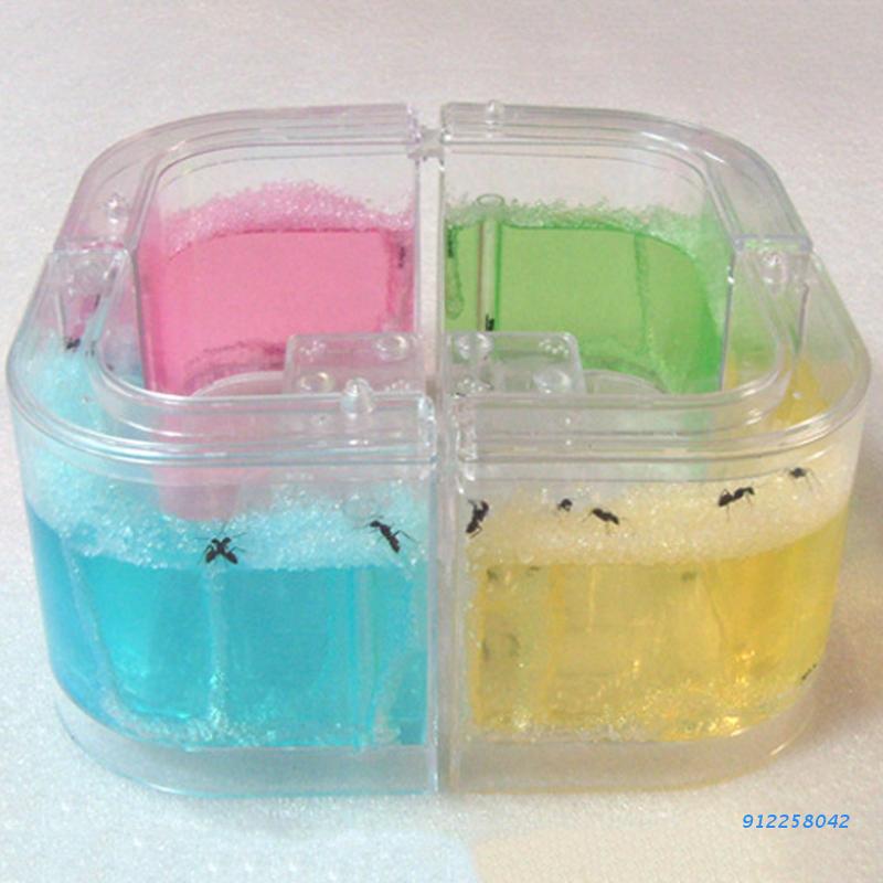 Ant Farm Gel Maze 3D Educational Nursery Live Feeding System Novelty Habitat