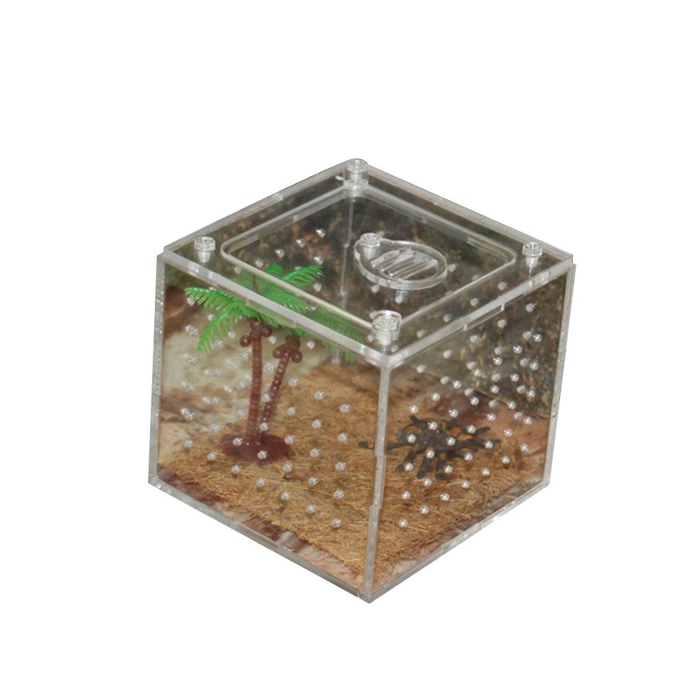 Krybdyr avlskasse klar akryl krybdyr terrarium fodring kasse holde varme husdyr hus til edderkop firben frø cricket: S