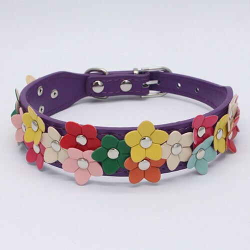 Colours Flower Studded Dog Coller Collar Pu Leather Pet Puppy Cat Neck Strap: Purple / M