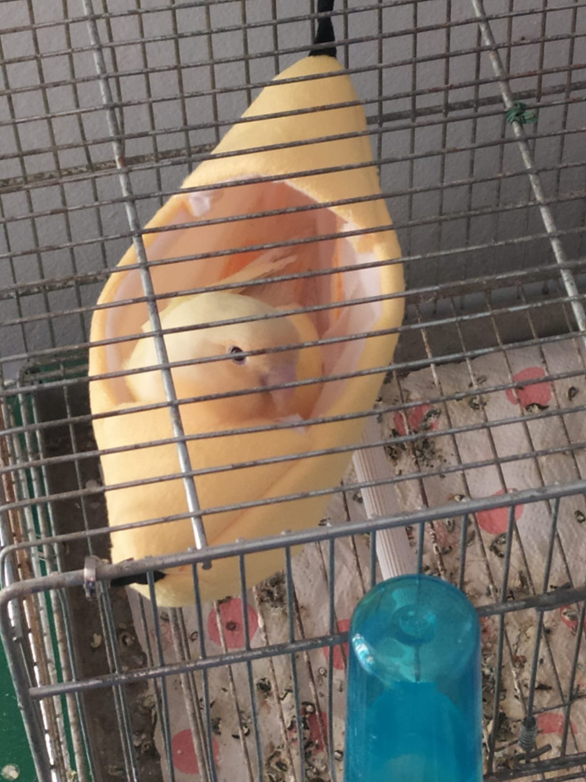 Mały dom dla zwierząt w kształcie łódki papuga ptak szczur hamak huśtawka wiszące łóżka dom gniazdo dla chomika materiały dla ptasie gniazdo akcesoria