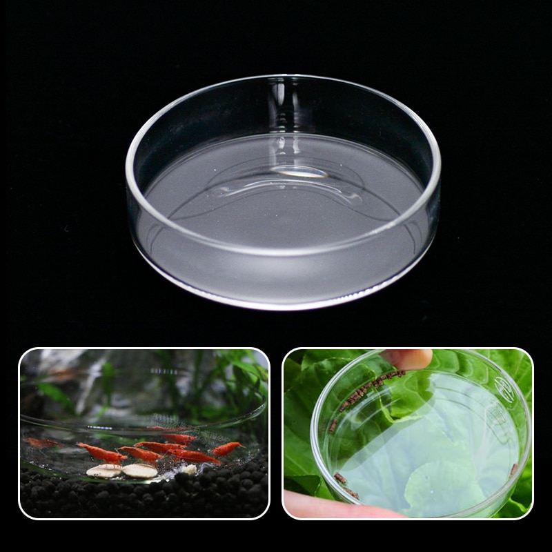Transparant Glas Kristal Garnalen Feeding Dish Feeder Lade Ronde Container Aquarium Aquarium Voeden Kom Tropische Vissen