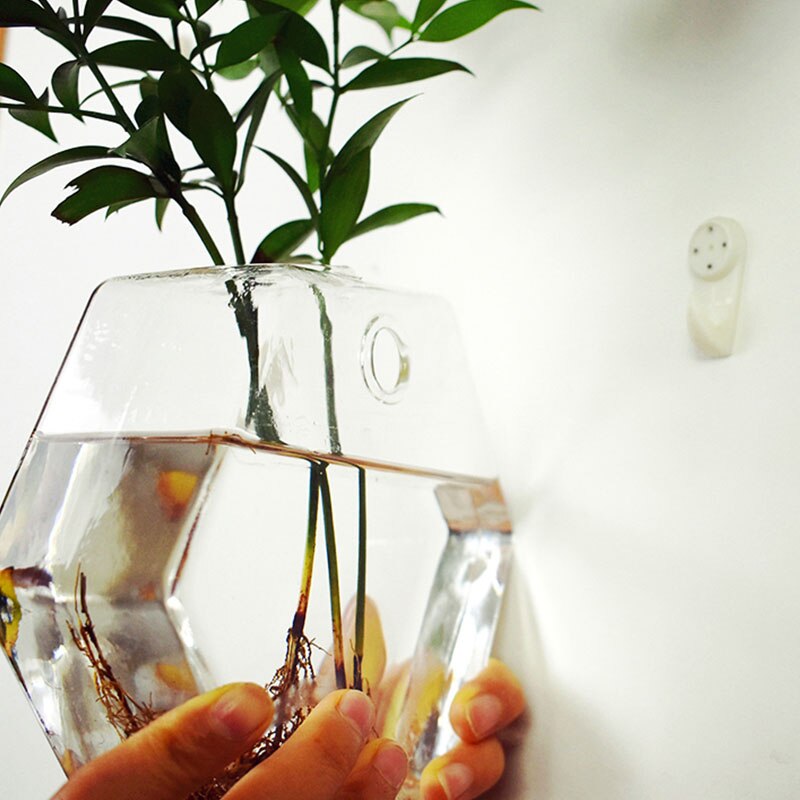 Europese glazen hydrocultuur wandbloemvaas, groene planten, wanddecoratie, aquarium, knutselen, scandinavische bloempot