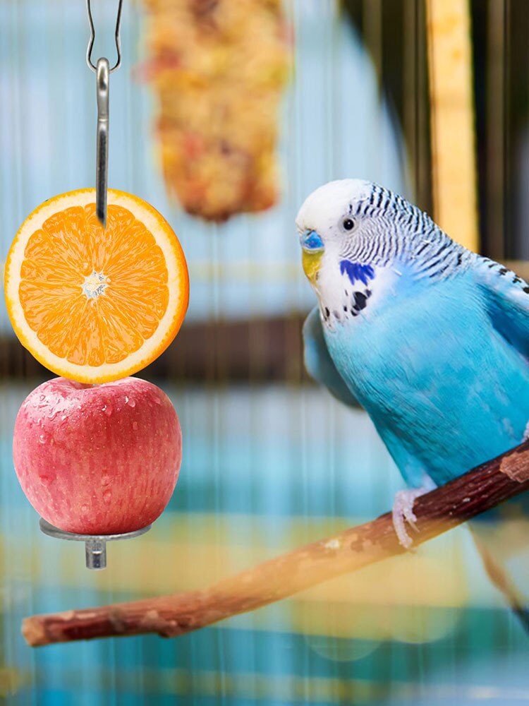 Tenedor de fruta de acero inoxidable para loros, soporte para loros, accesorio para jaula, gancho, suministros medianos y grandes para aves